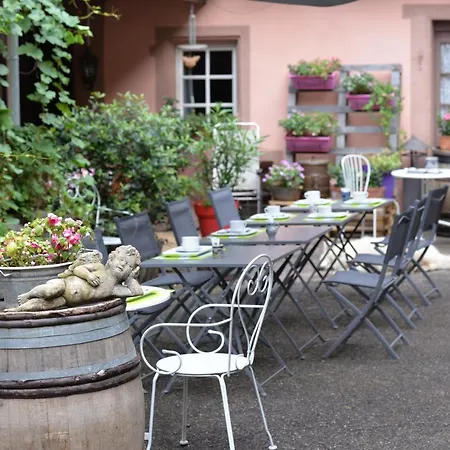 Chez Le Vigneron Studio Fushia