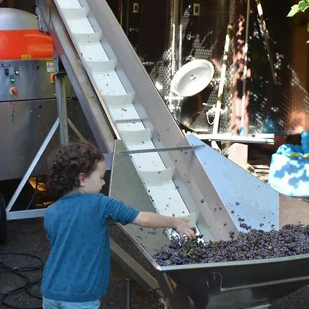 Chez Le Vigneron Studio Fushia Colmar